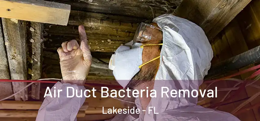 Air Duct Bacteria Removal Lakeside - FL