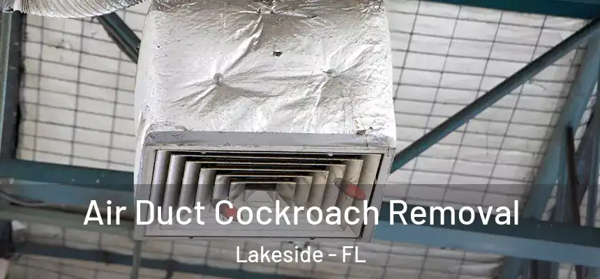 Air Duct Cockroach Removal Lakeside - FL