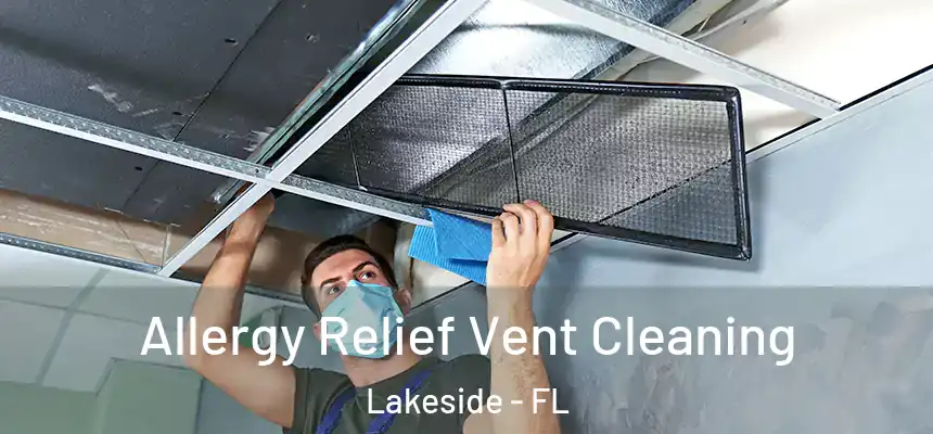 Allergy Relief Vent Cleaning Lakeside - FL