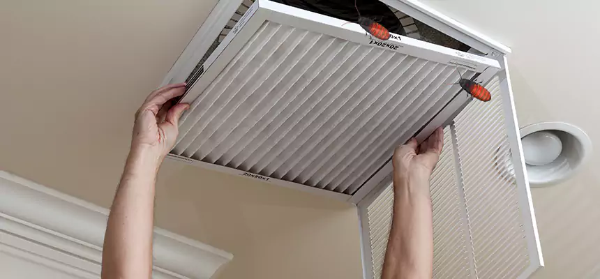 Preventive Cockroach-Proofing for Ducts in Lakeside