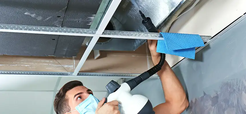 Our Air Duct Rodent Removal Services in Lakeside, FL