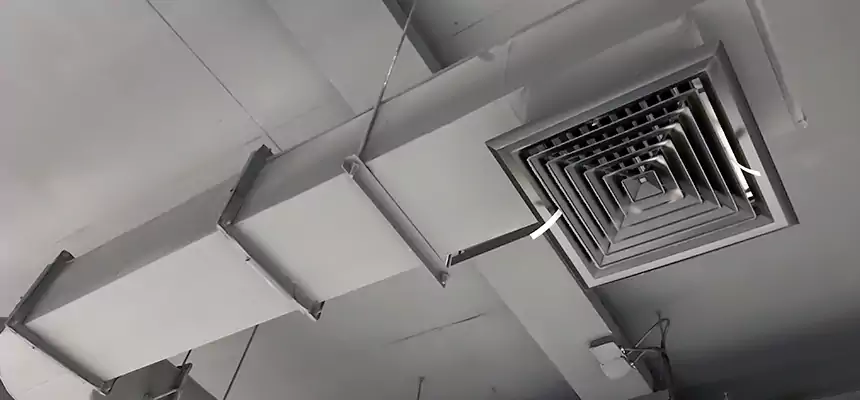 Our Pest Removal From Ducts Services in Lakeside, FL