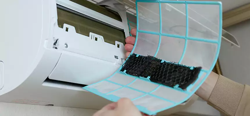 Gentle Ductwork Odor-Control Pet Dander Duct Cleaning in Lakeside, FL