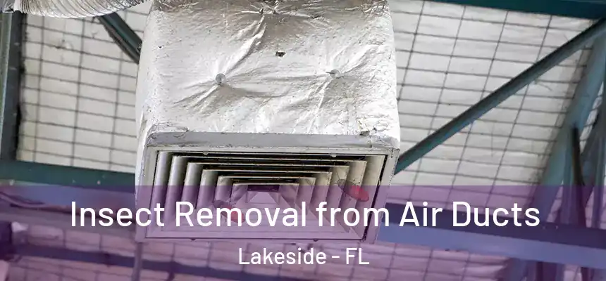 Insect Removal from Air Ducts Lakeside - FL