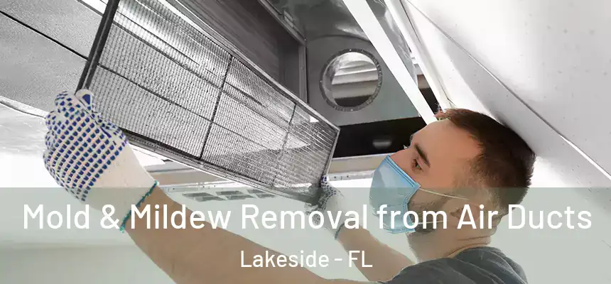Mold & Mildew Removal from Air Ducts Lakeside - FL