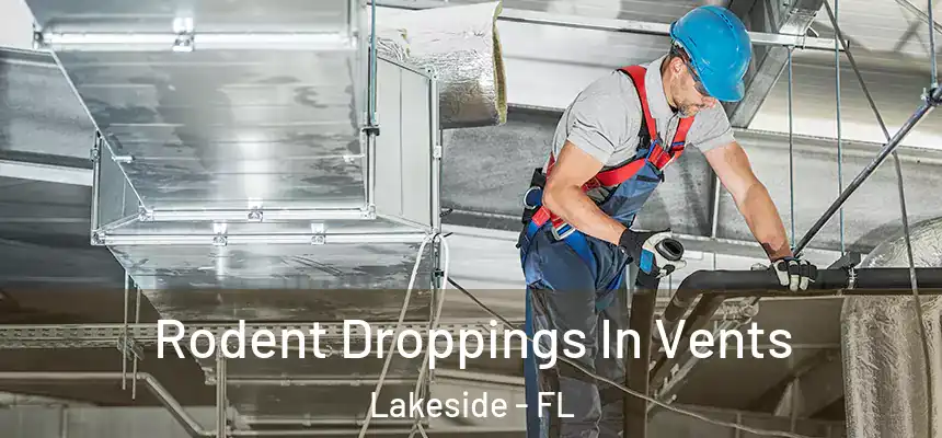 Rodent Droppings In Vents Lakeside - FL