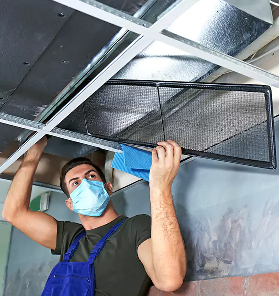 About Air Duct Bacteria Removal in Lakeside