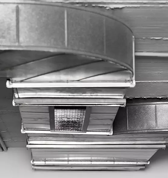 Professional Air Duct Pet Hair Removal in Lakeside, FL