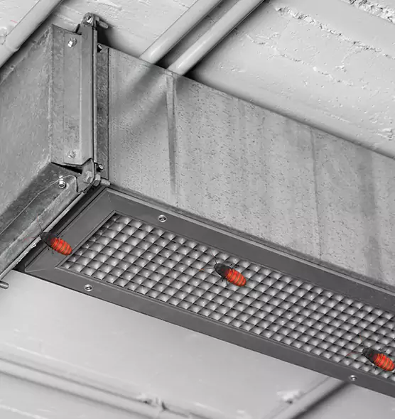 Affordable Insect Removal from Air Ducts in Lakeside, FL