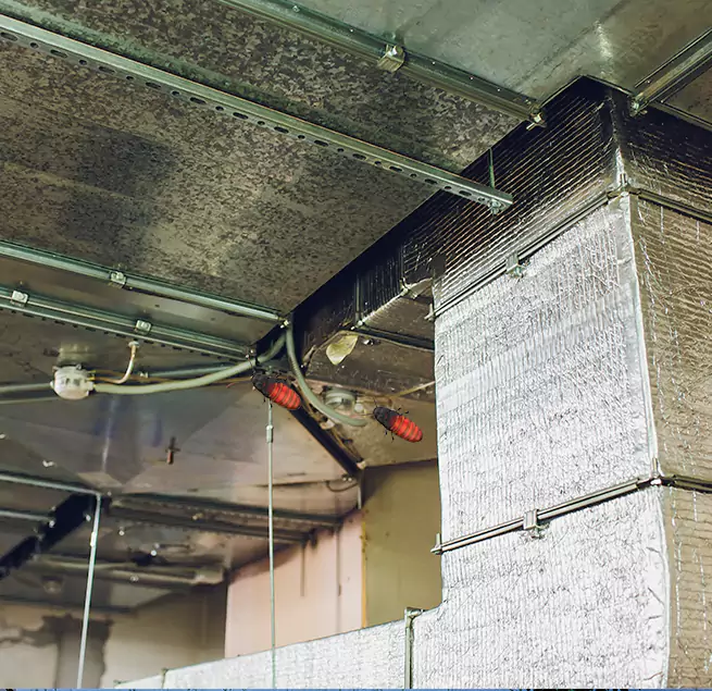 Why Homeowners & Businesses Trust Us in Lakeside, FL?