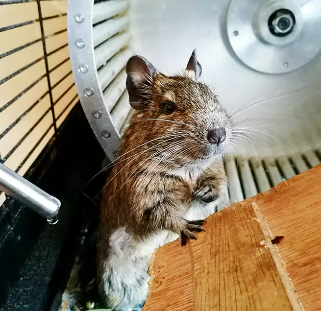 Why Homeowners & Businesses Trust Us Lakeside, FL?