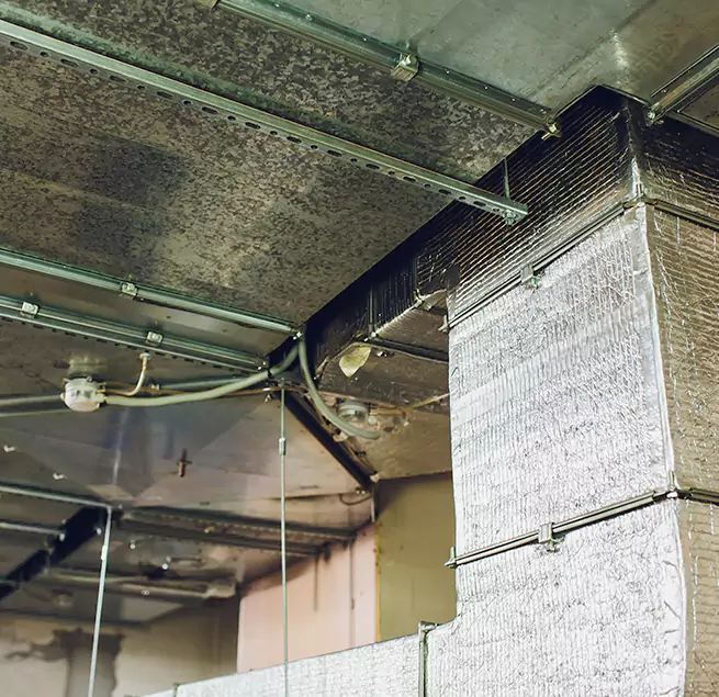 Why Homeowners & Businesses Trust Us in Lakeside, FL?